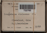 Image Associated With the Occurence